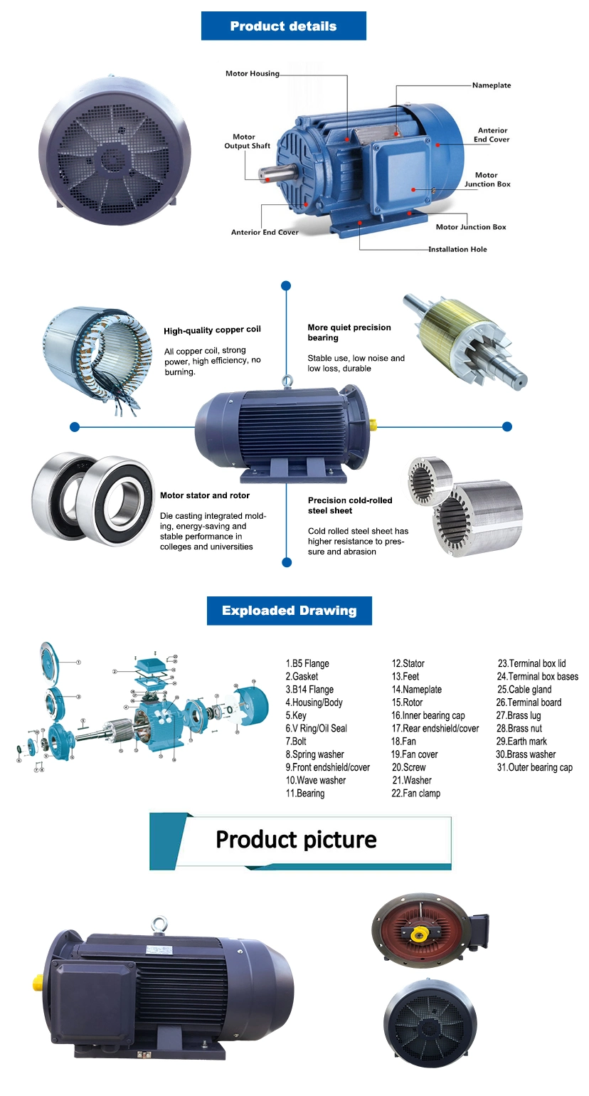 Asynchronous Flange Mounted AC Induction Electrical Motor