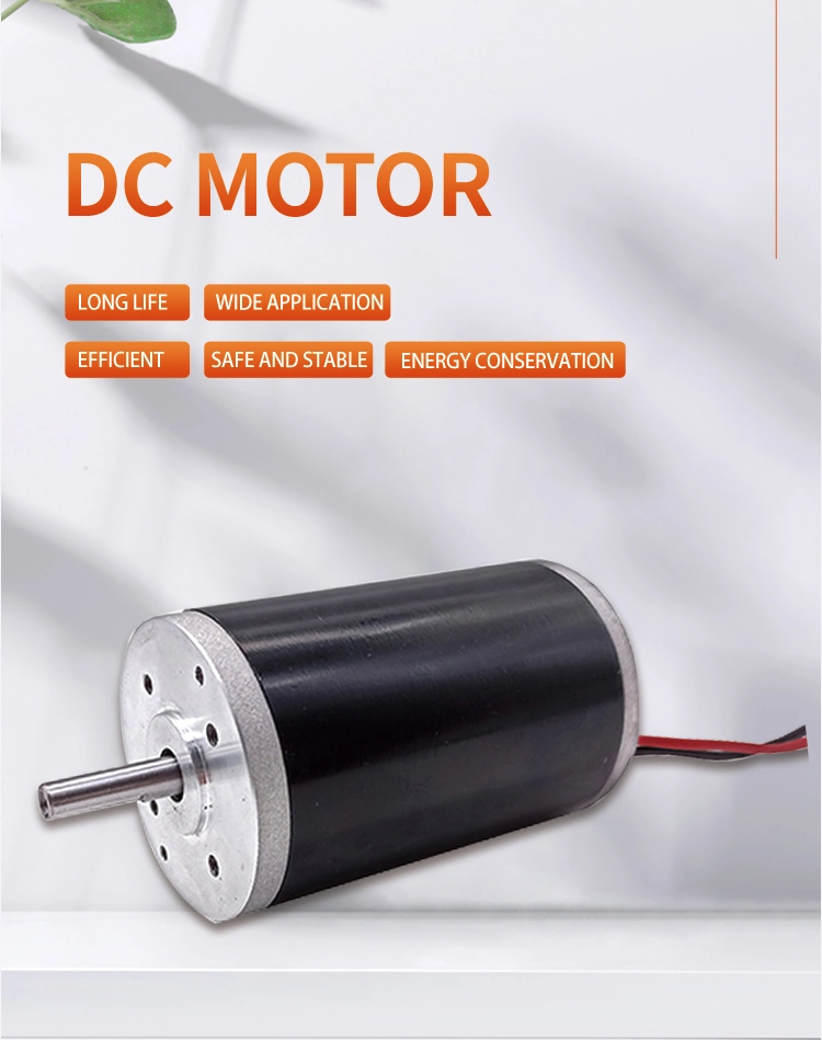 High Speed 12V/24V DC Motor/ DC Brushed Motor/ BLDC Motor for Hair Dryer/Massager/Auto Door Lifting System/Refrigerator Fan/Exhaust Fan/Fan Motor/ DC Pump